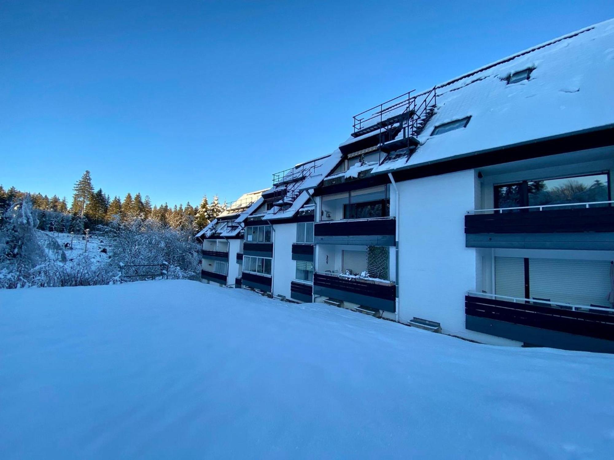 Ferienwohnung Waldgaenger Hahnenklee Goslar Exterior foto